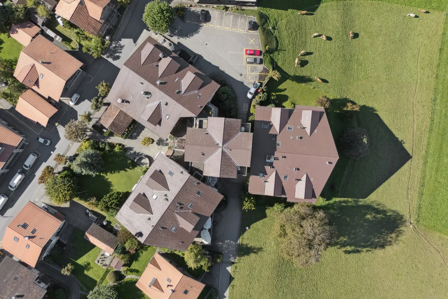 Aeschi Park Business Apartments - Photo 20 of 20