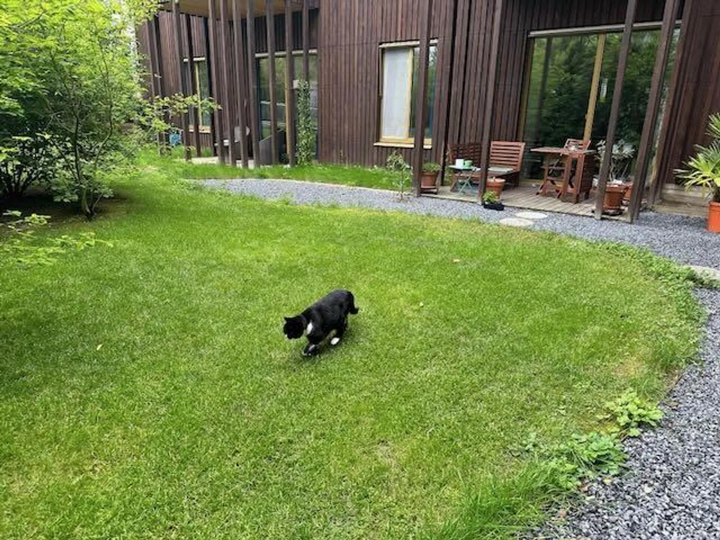 Loft Feeling: Exclusive 2.5-Room Garden Bijou with 3.5m Ceiling Height - Photo 8 of 19