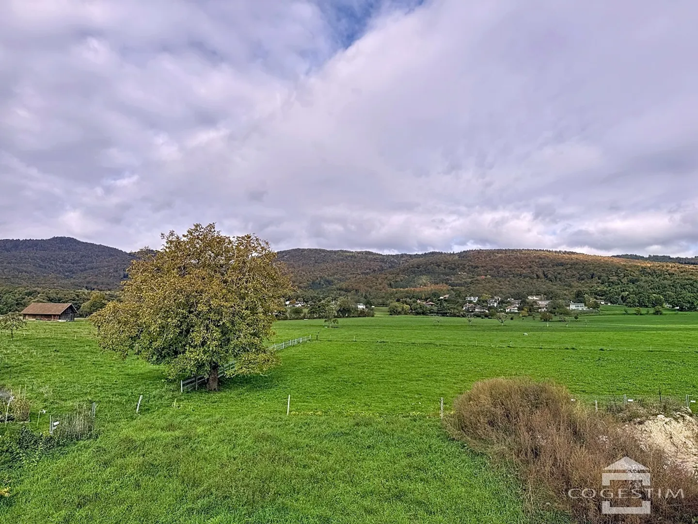 Appartamento 4.5 stanze - Foto 3 di 6