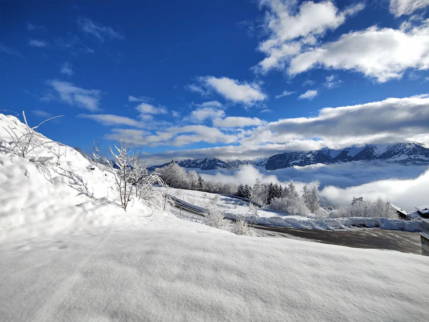 3.5-Room Apartment - Photo 8 of 9