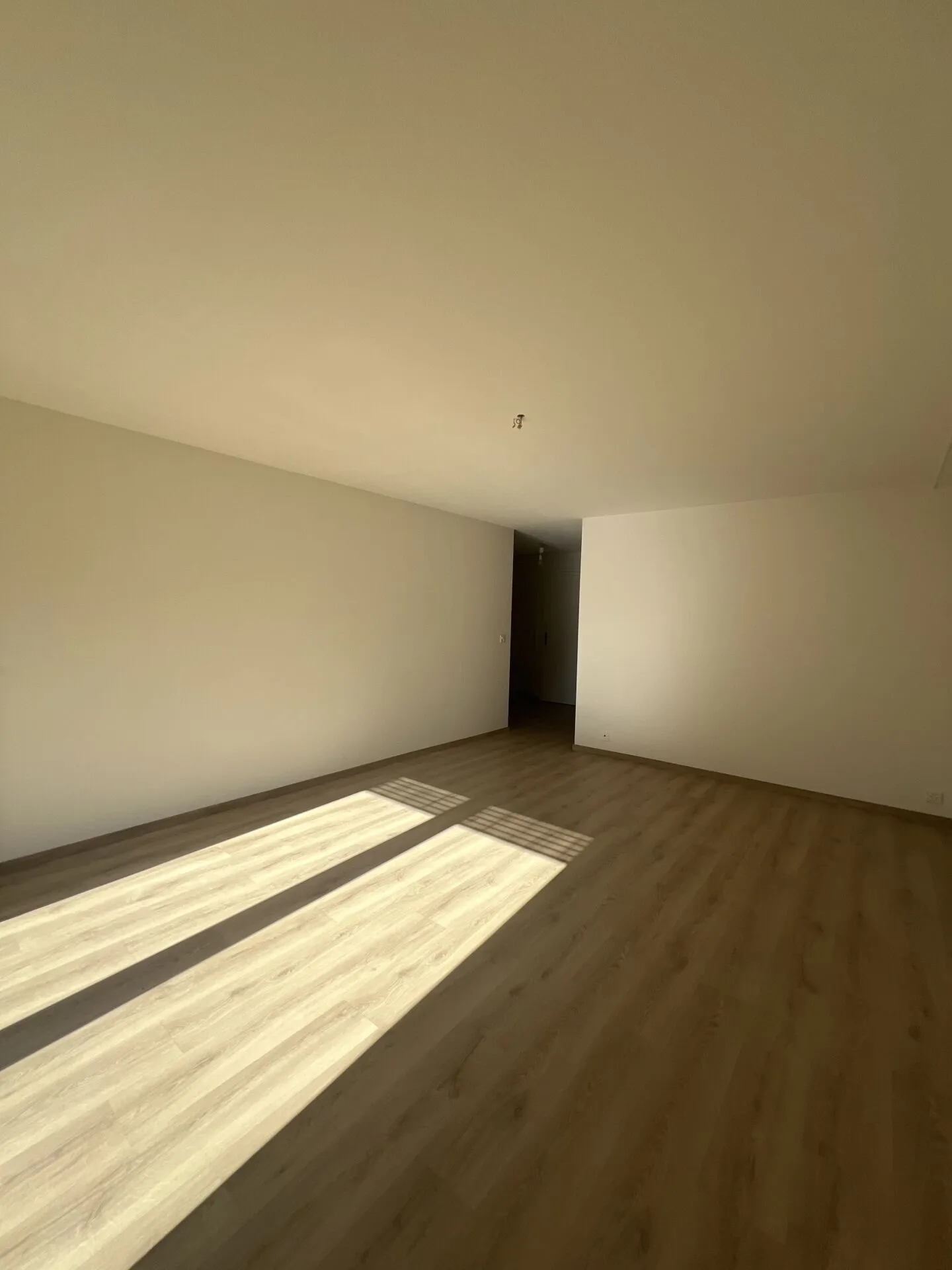 2.5 Room Apartment - Photo 2 of 5