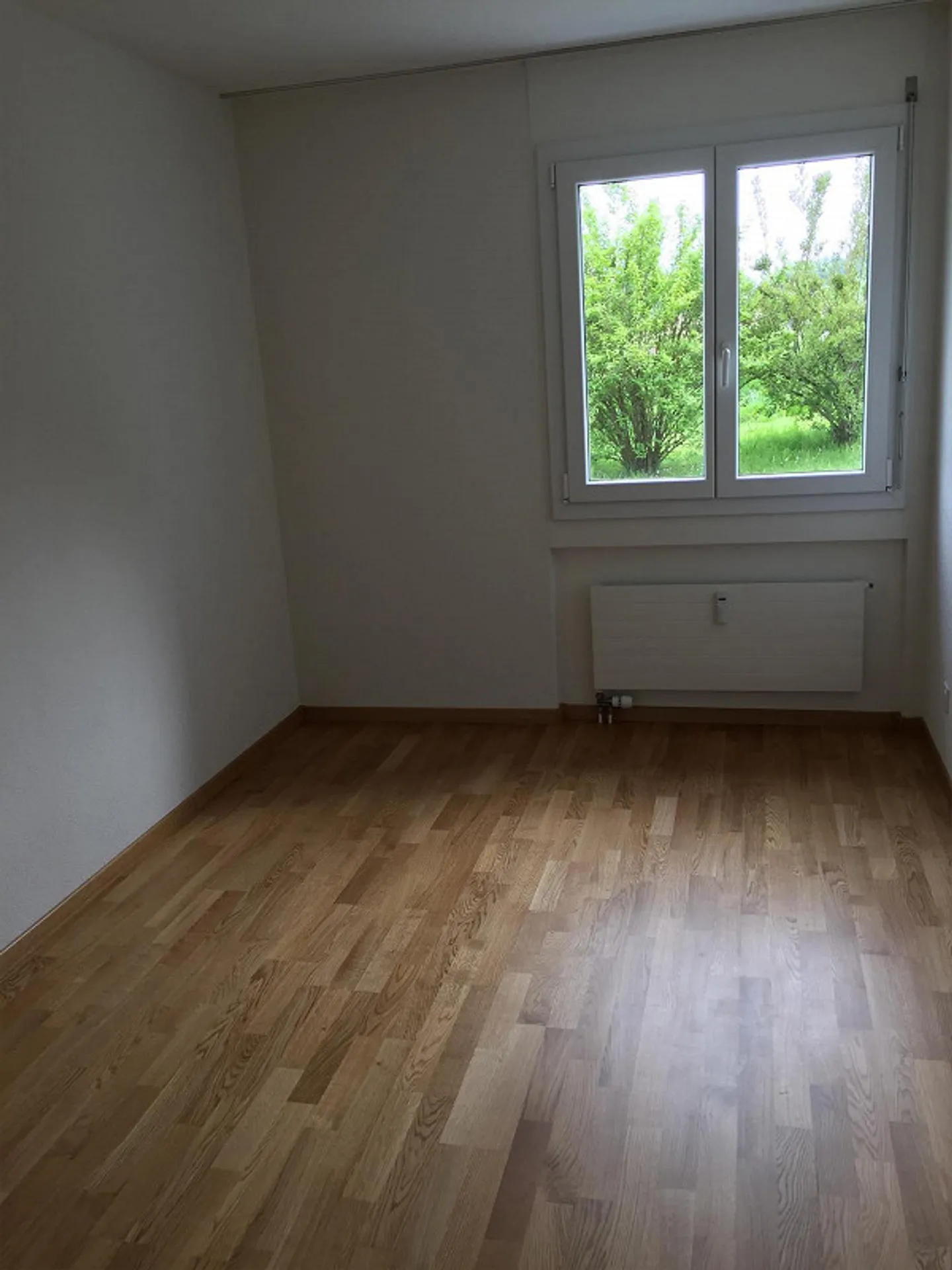 Vivere nel verde! - Foto 5 di 5