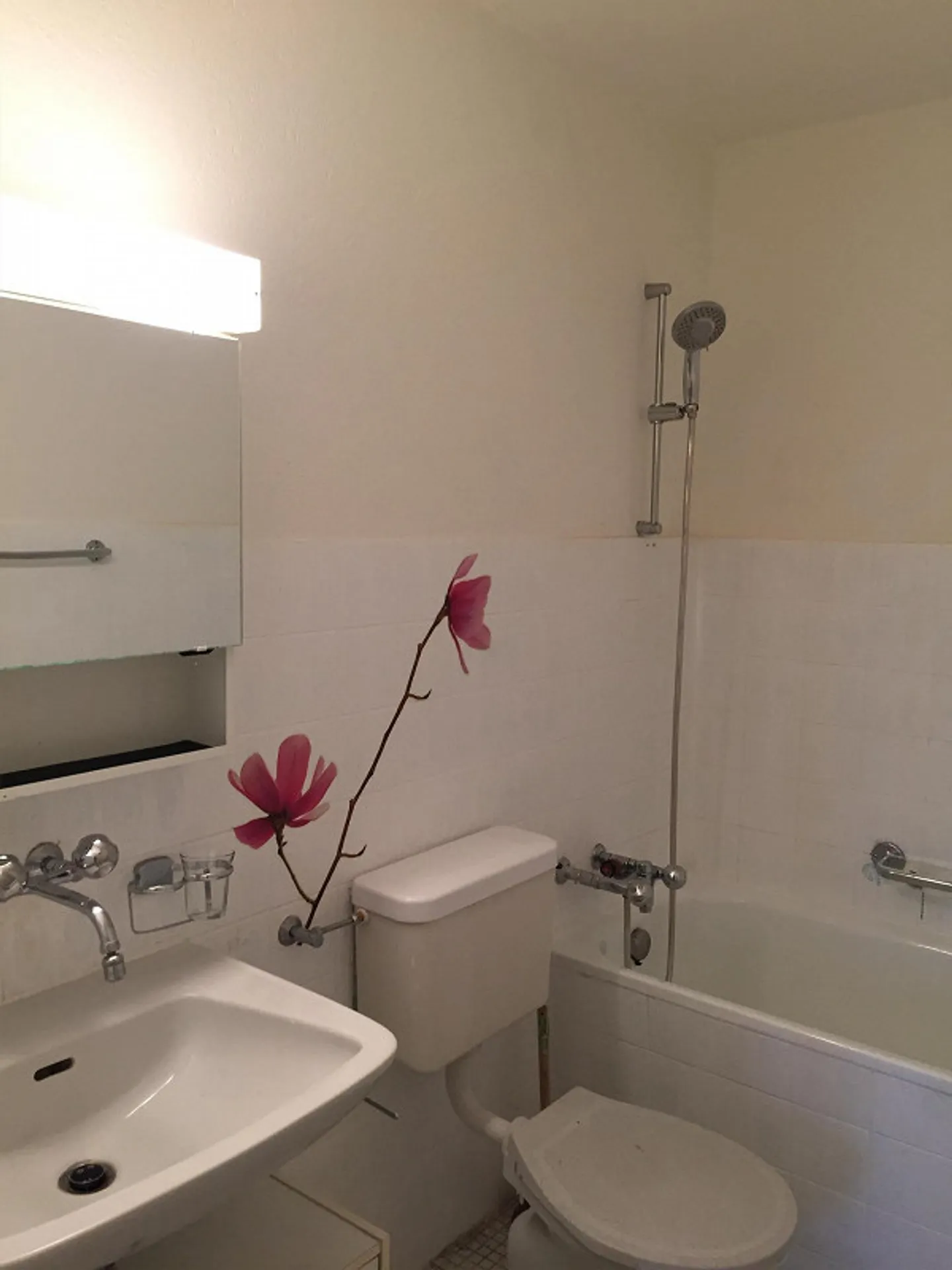 4.5 Room Condominium in Studen - Photo 4 of 9