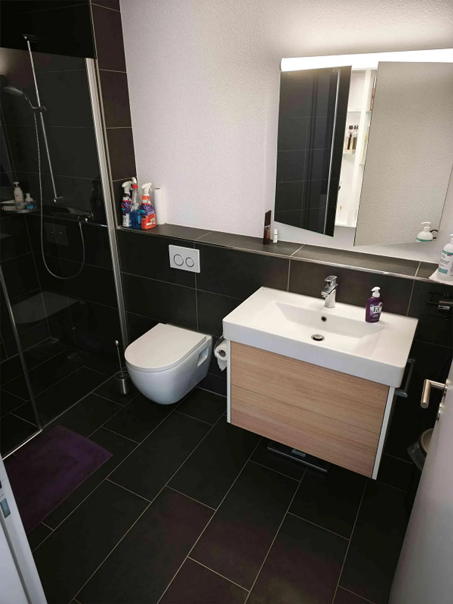 Appartamento da sogno di 3,5 stanze con vista sul lago e standard Minergie - Foto 3 di 8