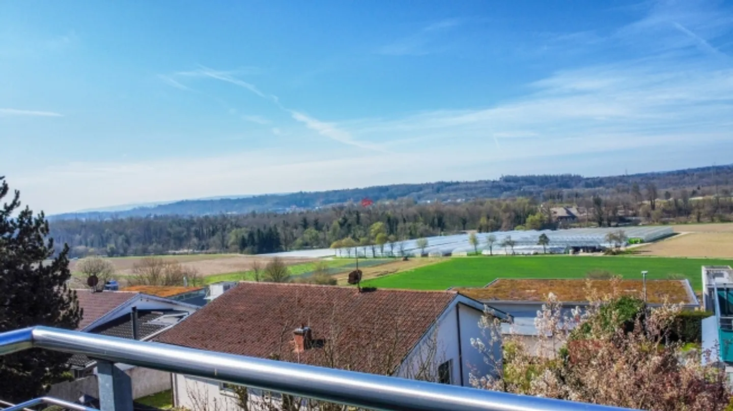 Family Dream with Mountain View & Plenty of Space Inside and Around the House - Photo 8 of 13