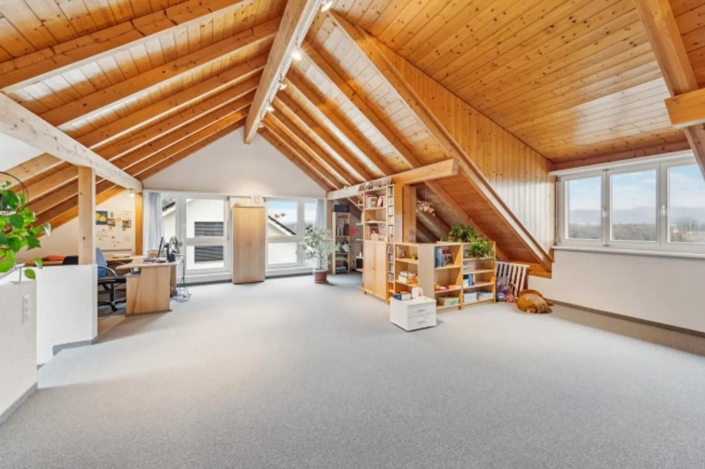 Family Dream with Mountain View & Plenty of Space Inside and Around the House - Photo 11 of 13