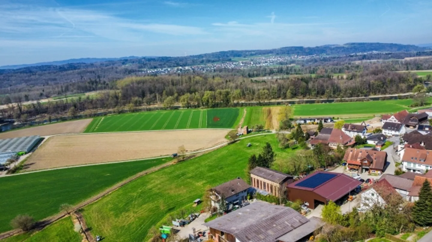 Family Dream with Mountain View & Plenty of Space Inside and Around the House - Photo 12 of 13