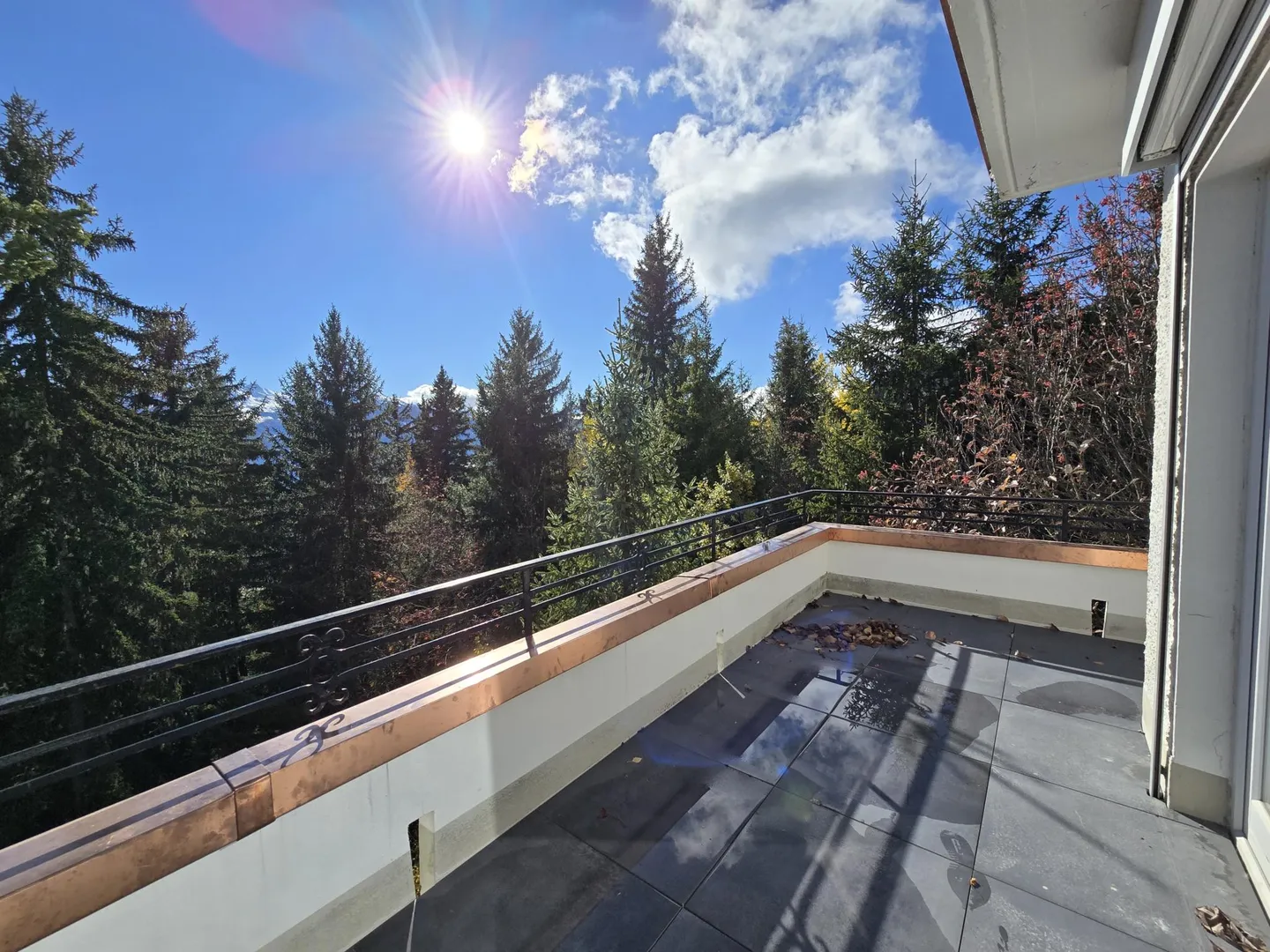 Spacious 60s architect's villa "LA MUSARDIERE" ? Recent renovations - Photo 5 of 14