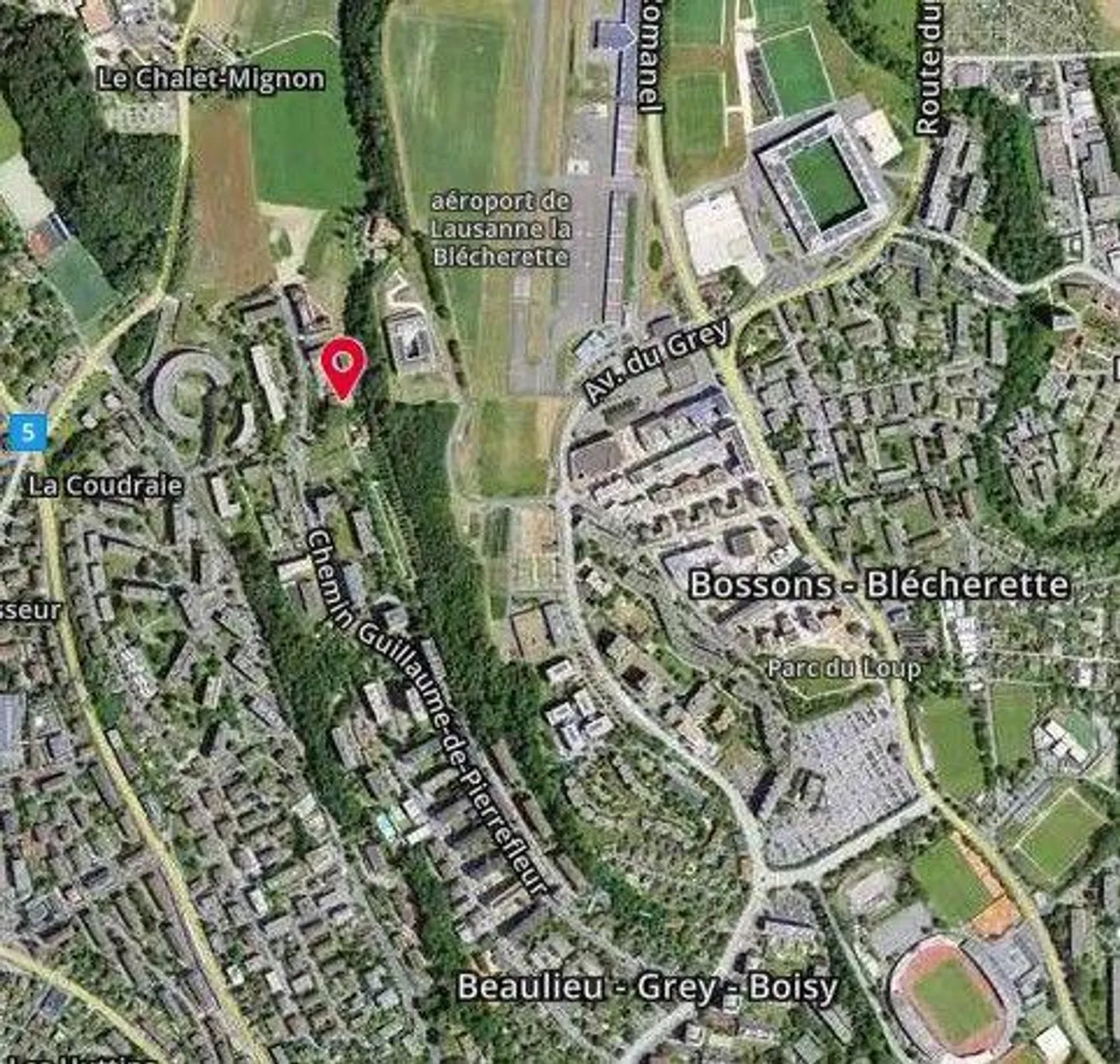 House with restaurant in DDP - Photo 4 of 13