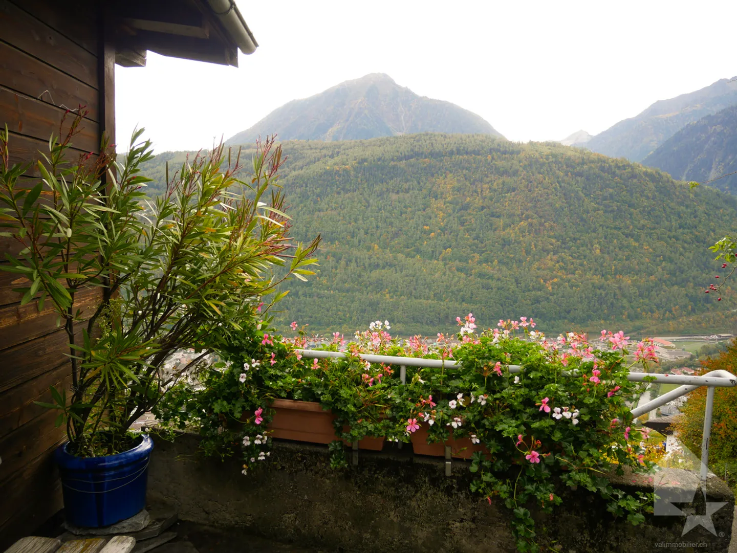 Magnificent small chalet / mazot at the Summit of the Vines - Photo 31 of 32