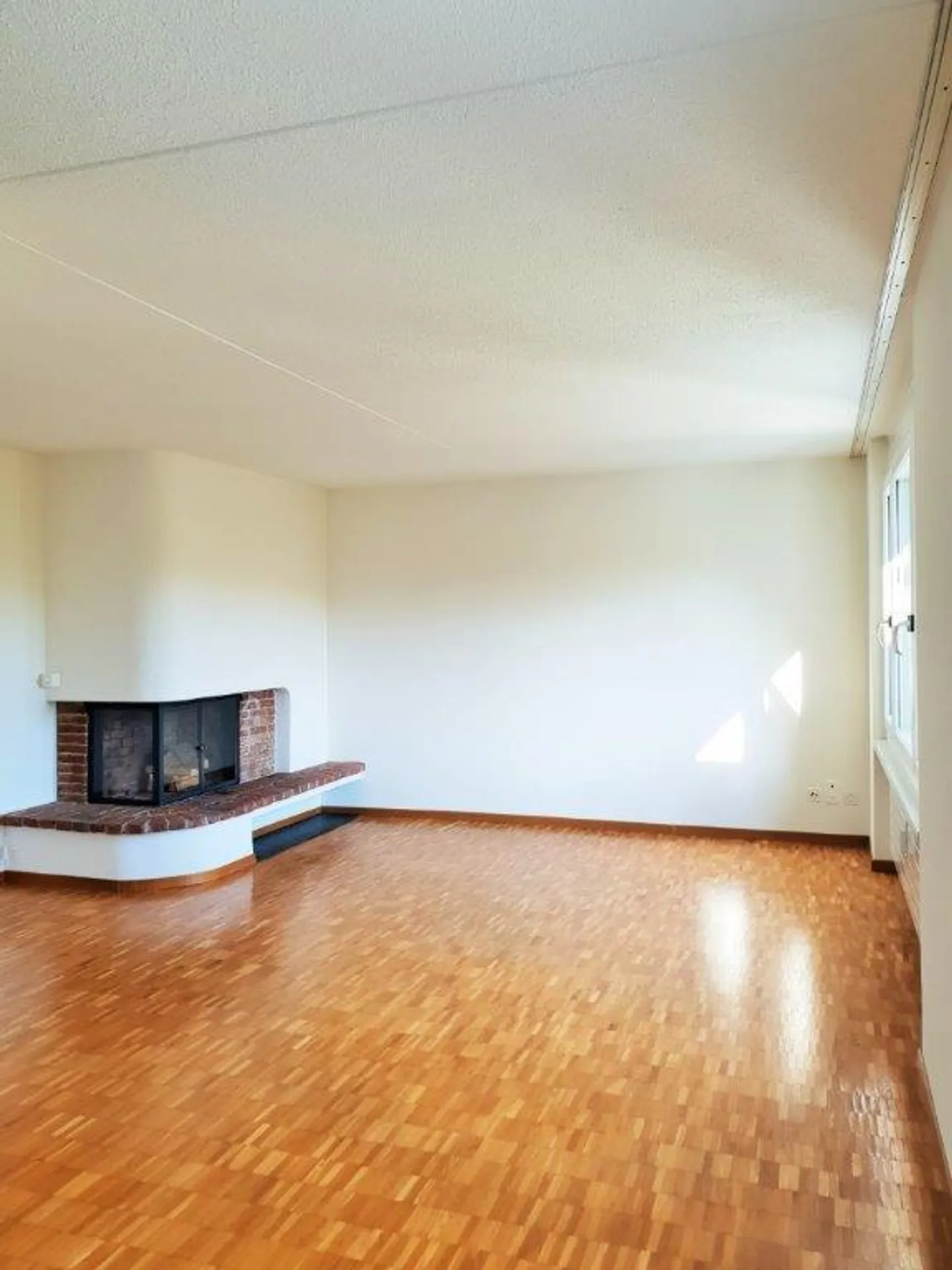 Charming Apartment in Wädenswil - Photo 3 of 11