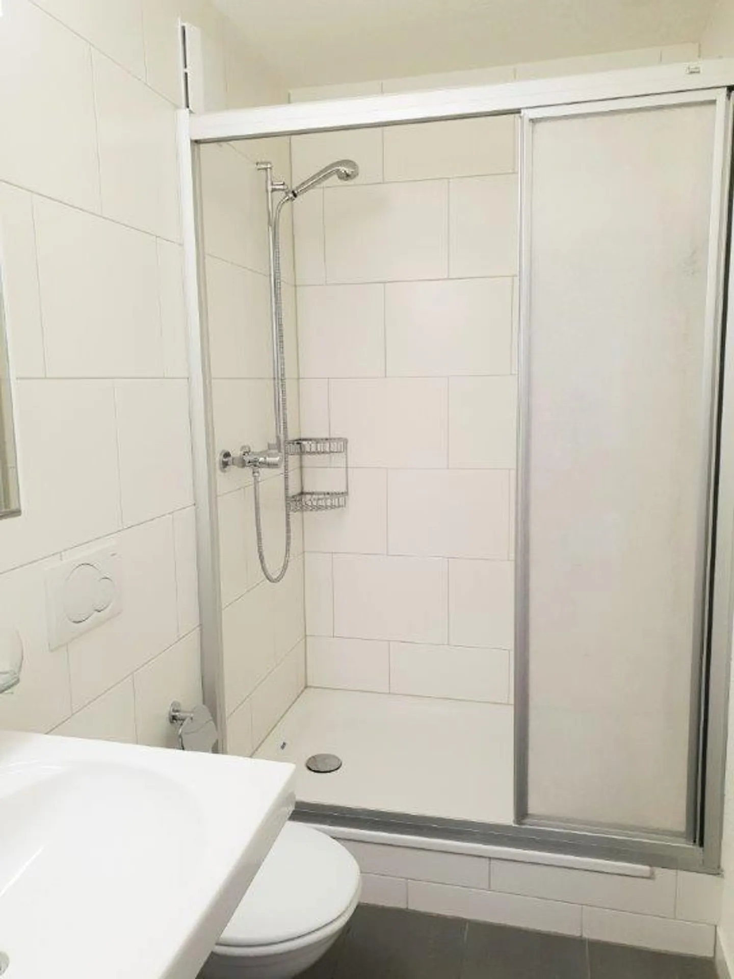 Charming Apartment in Wädenswil - Photo 6 of 11