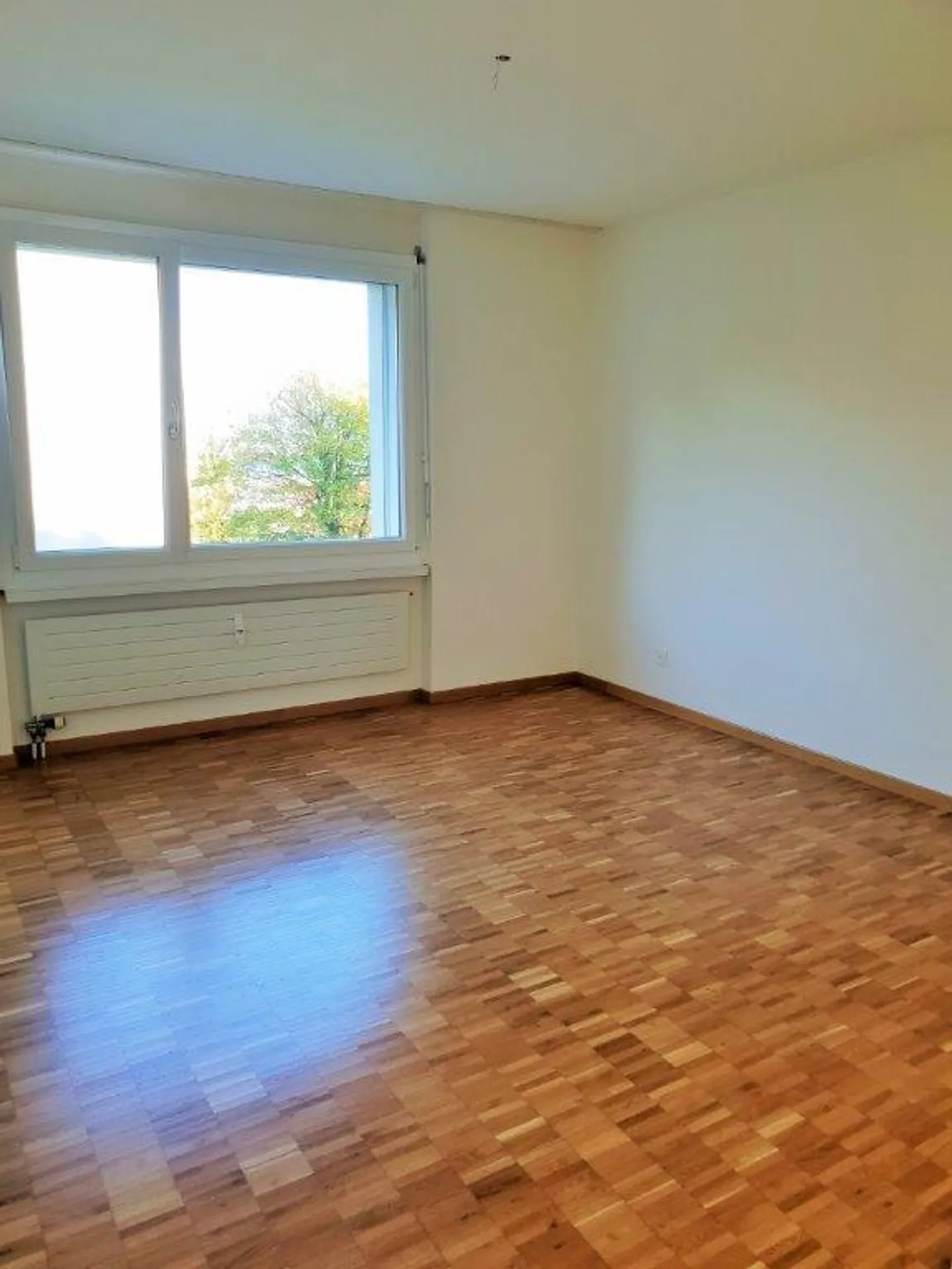 Charming Apartment in Wädenswil - Photo 7 of 11