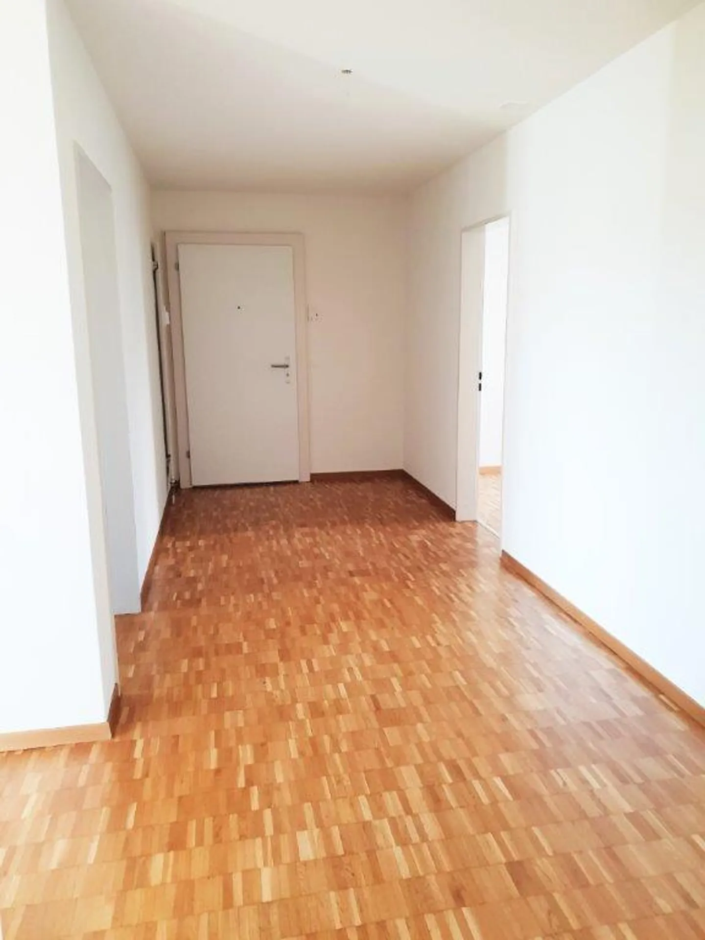 Charming Apartment in Wädenswil - Photo 9 of 11