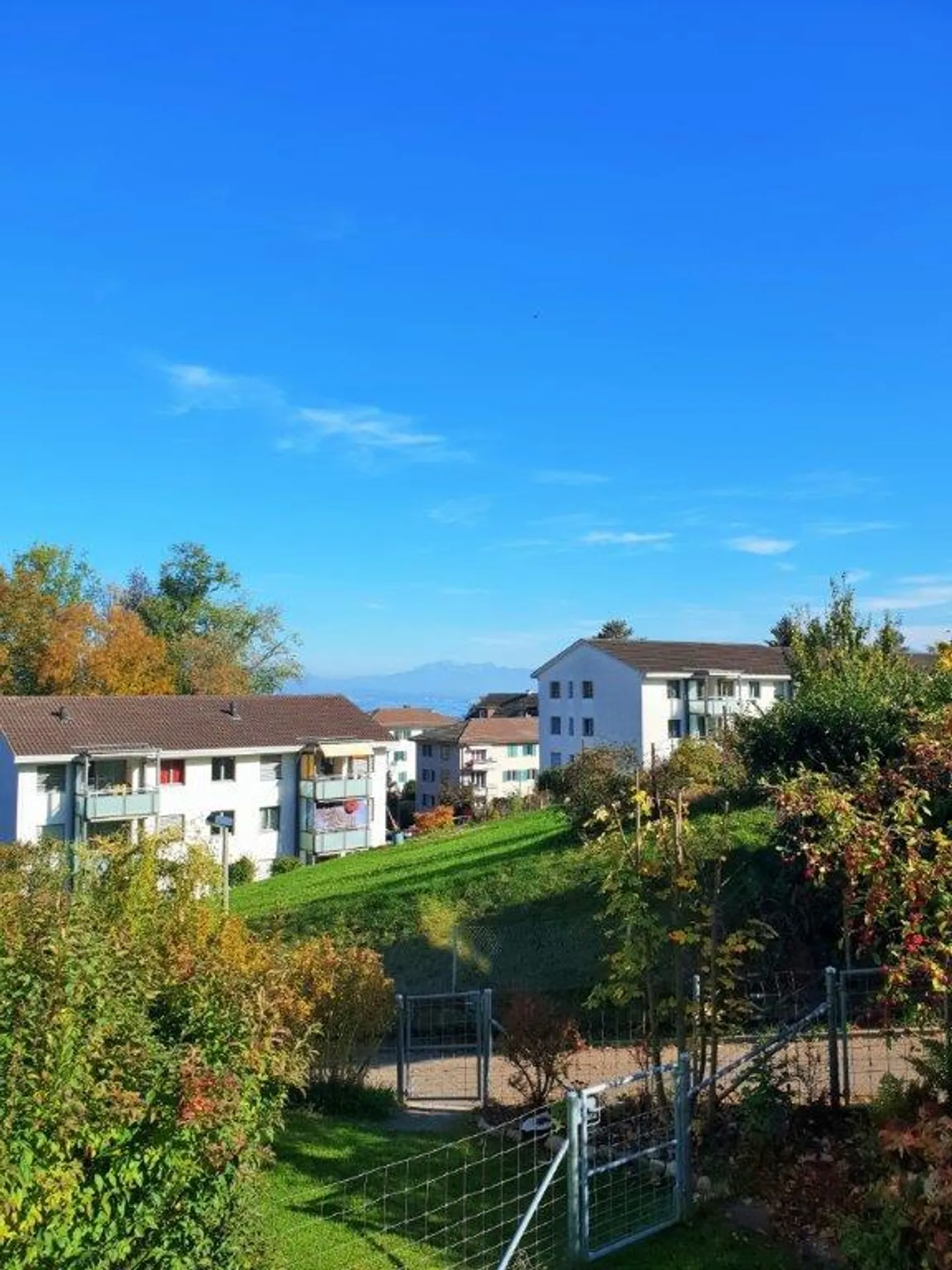 Charming Apartment in Wädenswil - Photo 11 of 11