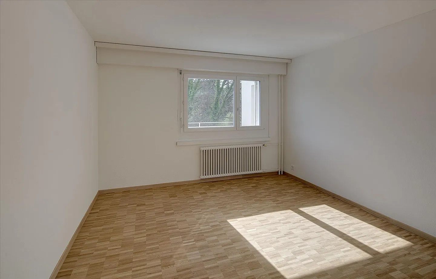 Ricominciare alla Limmat! - Foto 7 di 9