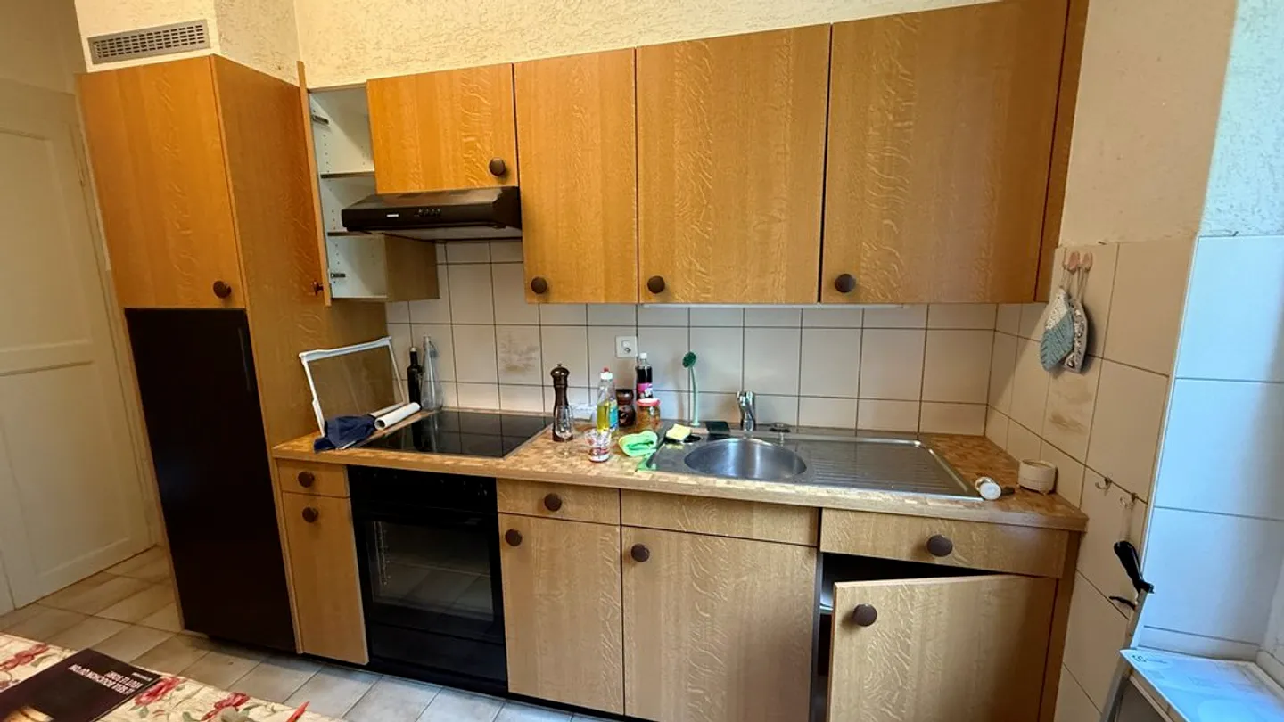 Unique 5.5 Room Apartment - Photo 5 of 6