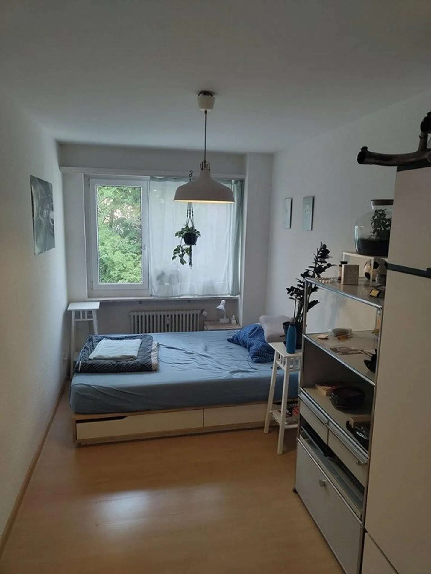 Appartamento spazioso nel quartiere Gundeli - Foto 9 di 12