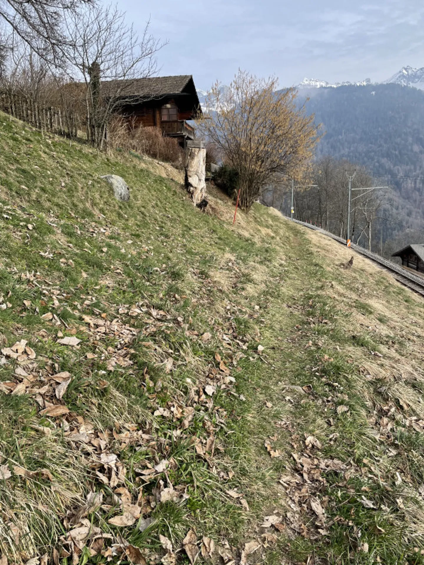 Grundstück zu verkaufen in Gryon - Foto 2 von 3