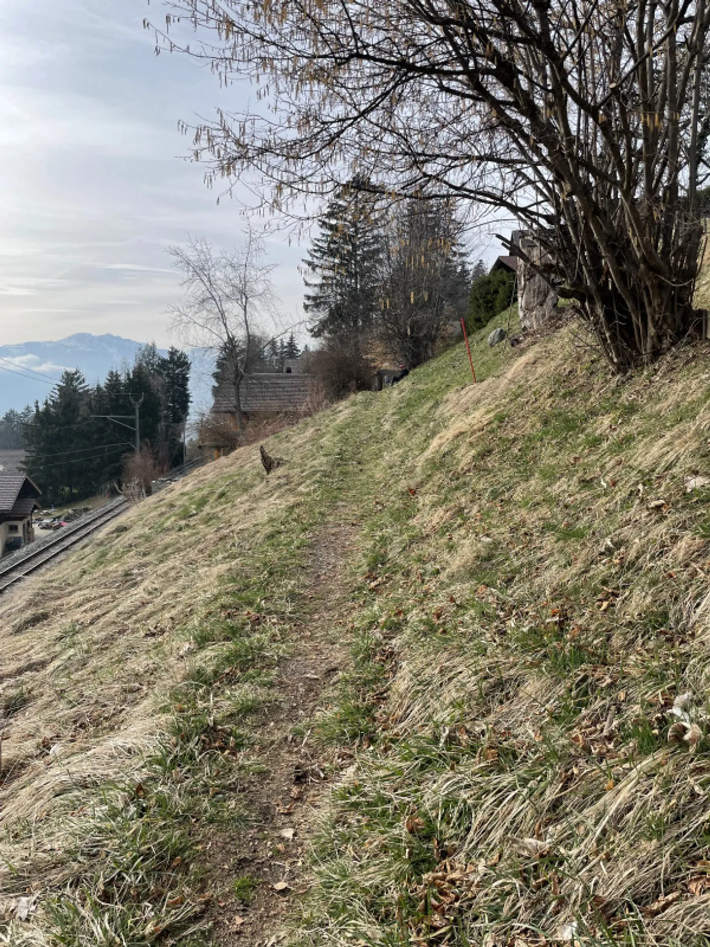 Grundstück zu verkaufen in Gryon - Foto 3 von 3