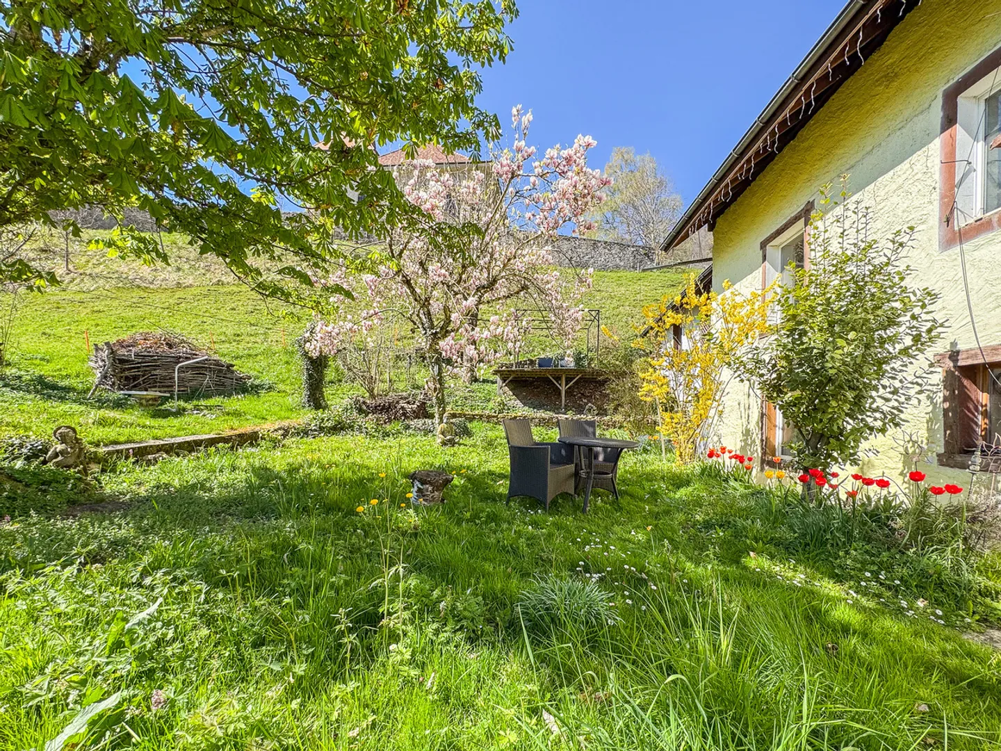Casa singola in affitto - Foto 4 di 25
