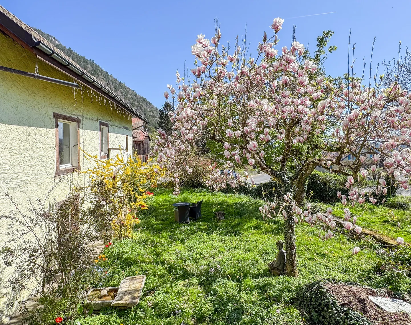 Casa singola in affitto - Foto 5 di 25
