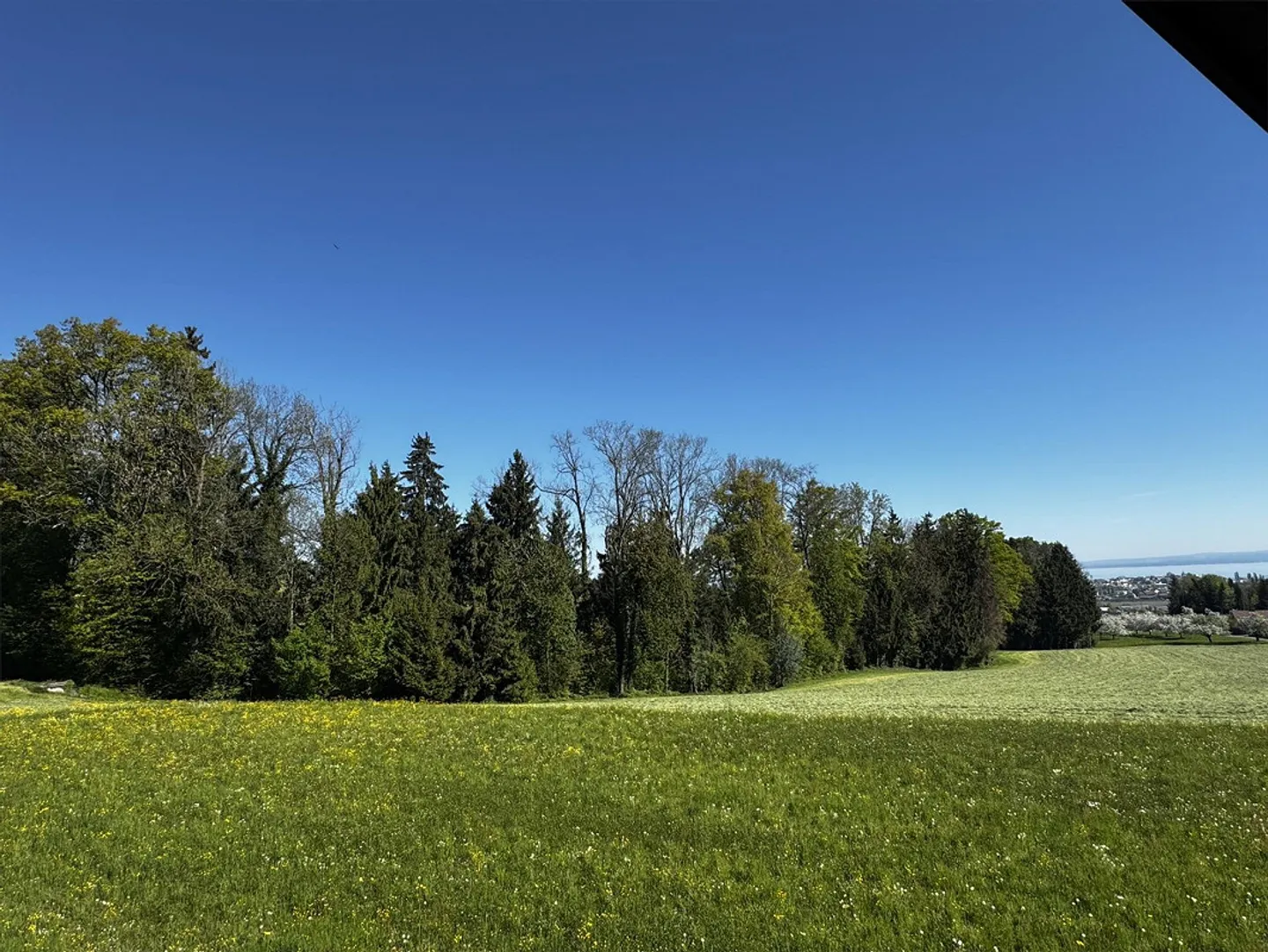 Tolles 5.5-Zimmer-Einfamilienhaus an bevorzugter Lage - Foto 15 di 21