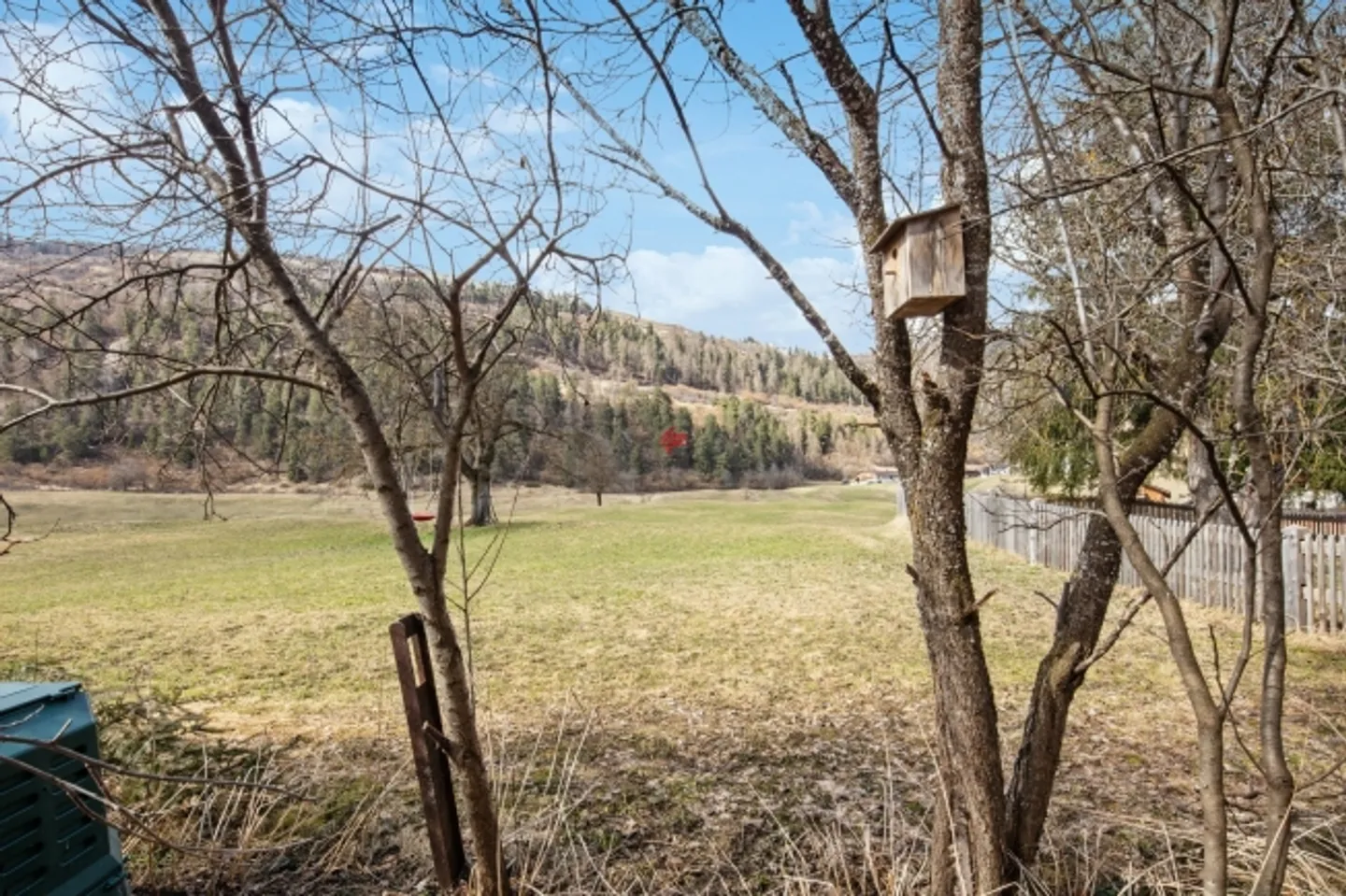 Charming farmhouse with great potential - Photo 9 of 11
