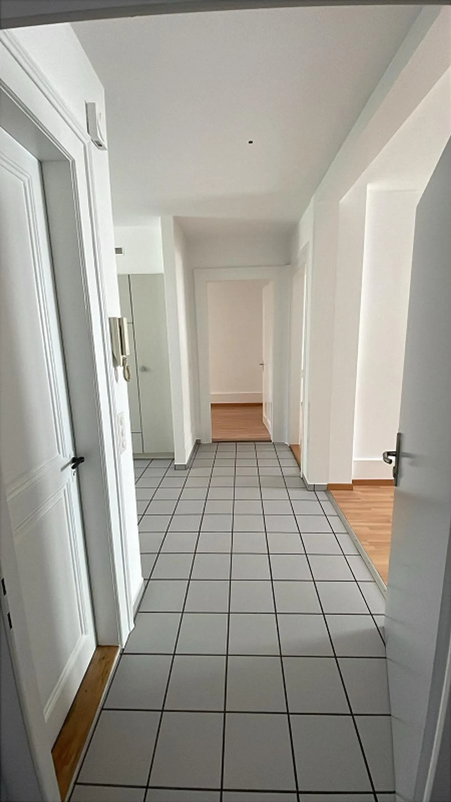 Trasferirsi e sentirsi bene: appartamento di 3 locali appena ristrutturato a Bienne - Foto 3 di 11