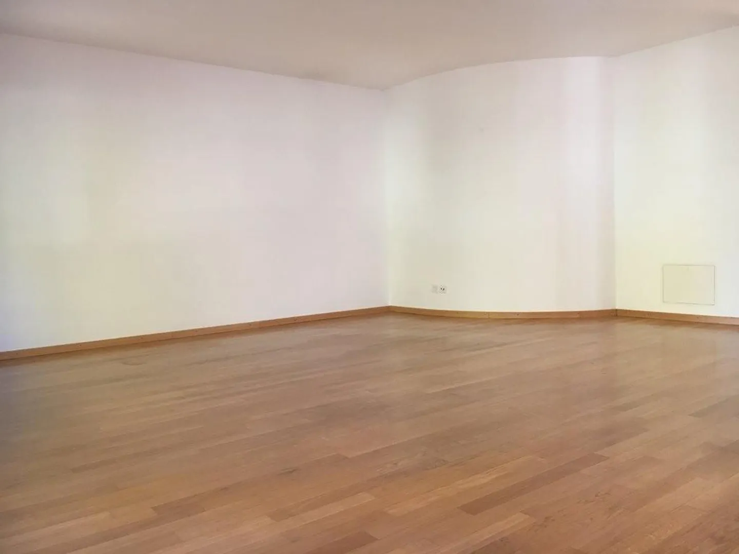 Cozy apartment with sunny patio - Photo 3 of 11