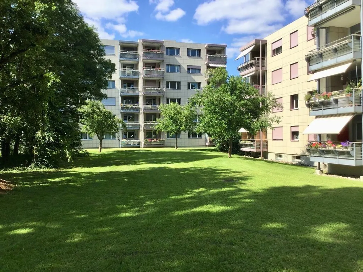 Viewing: Thursday, October 23, 2025 from 5:45 PM to 6:30 PM - Photo 1 of 9