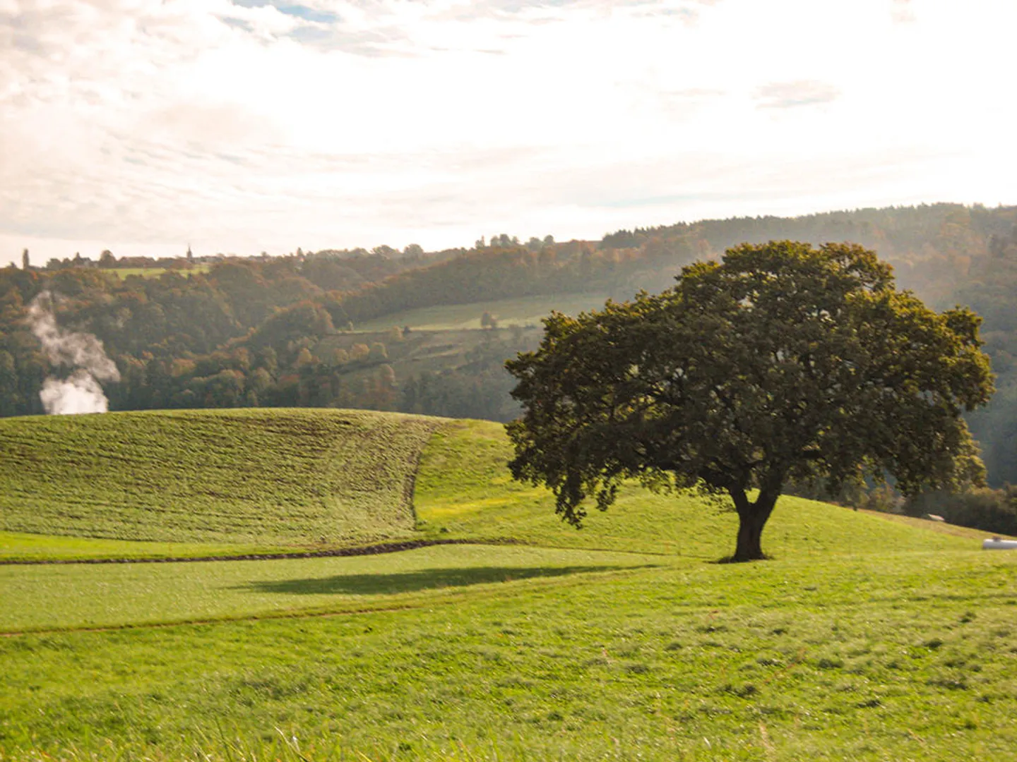 Casa 4.5 stanze - Foto 2 di 3