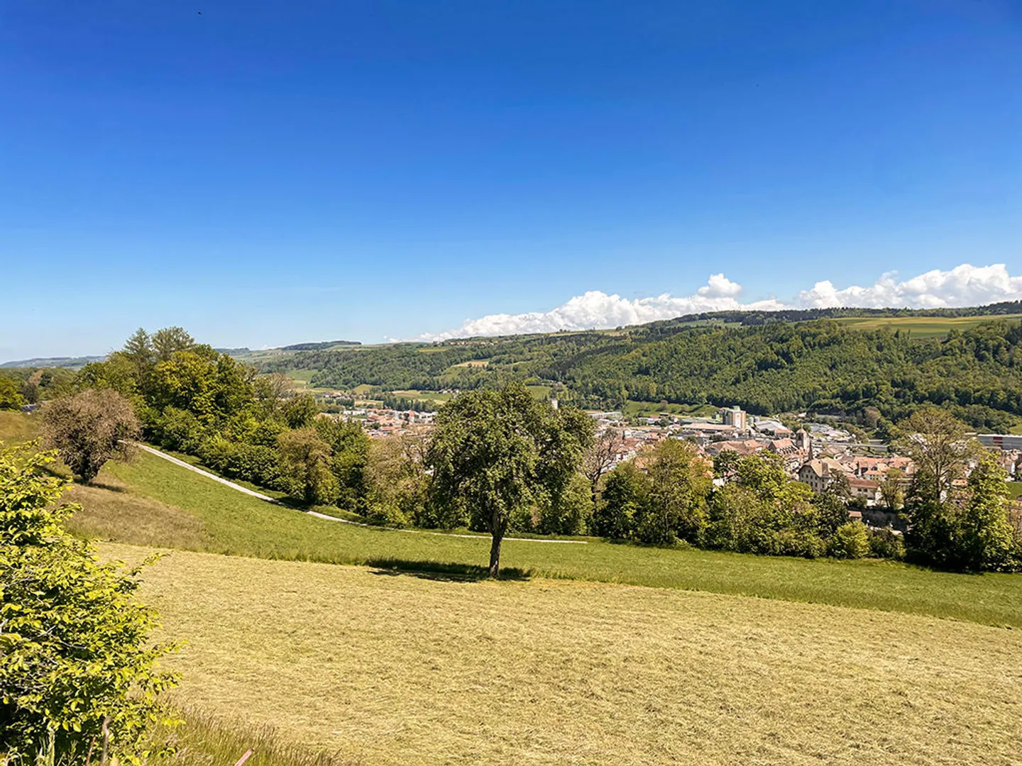 Casa 4.5 stanze - Foto 3 di 3