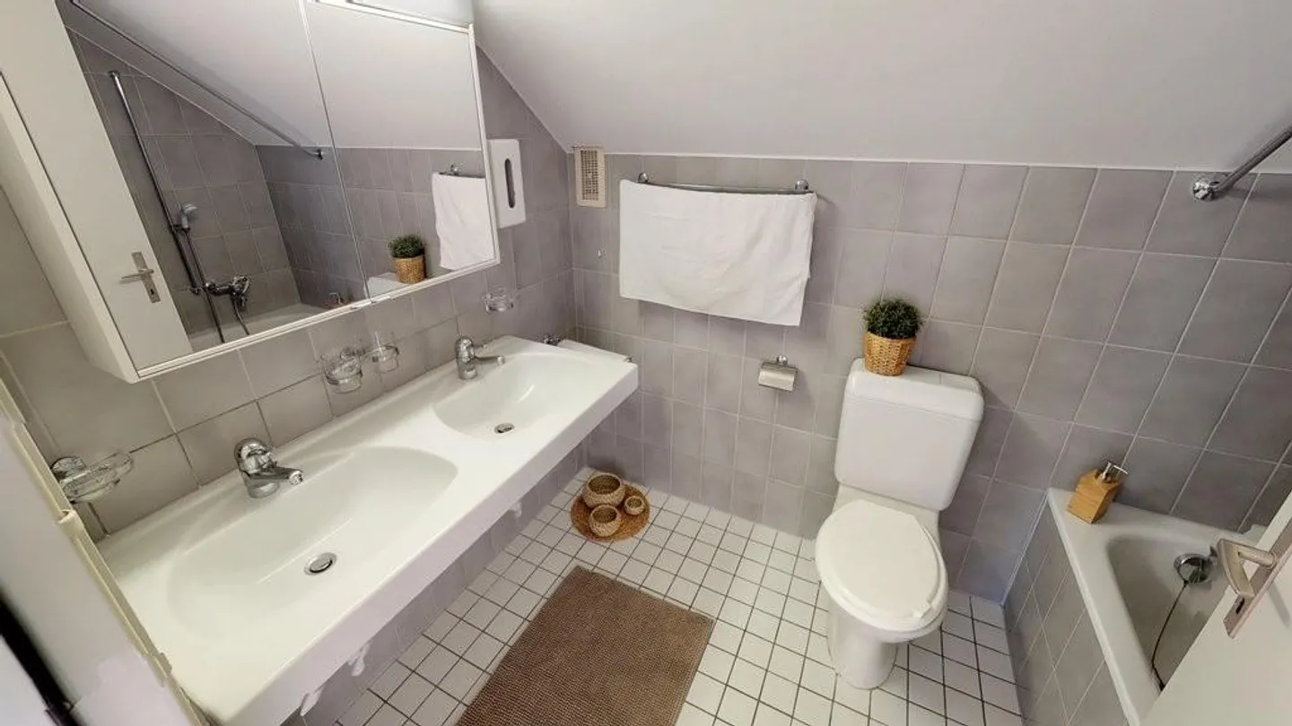 Charmante Dachwohnung in Reinach - Foto 5 von 10