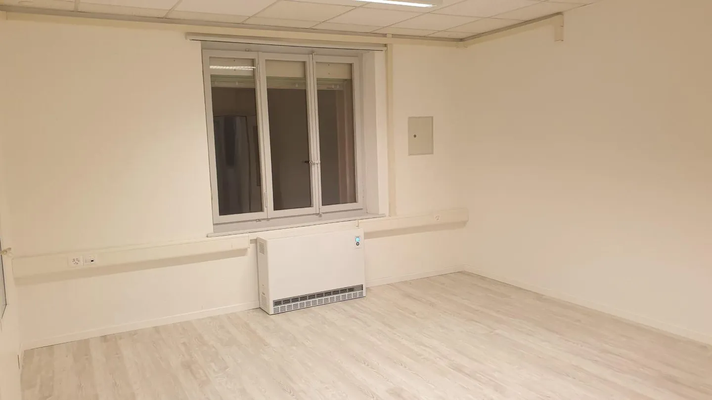 Renovated Commercial Space - Photo 3 of 13