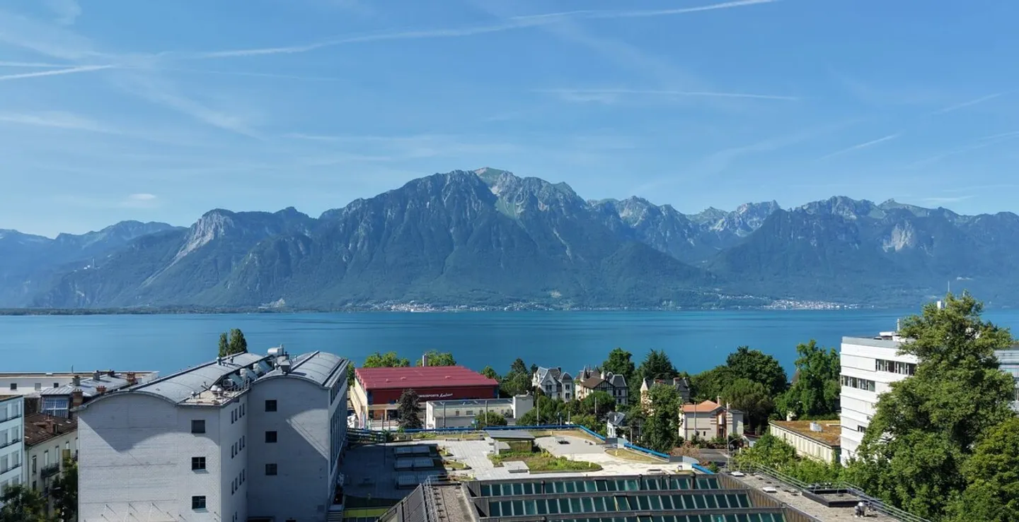 Superb 4-room penthouse with large terrace and panoramic view - Photo 2 of 13