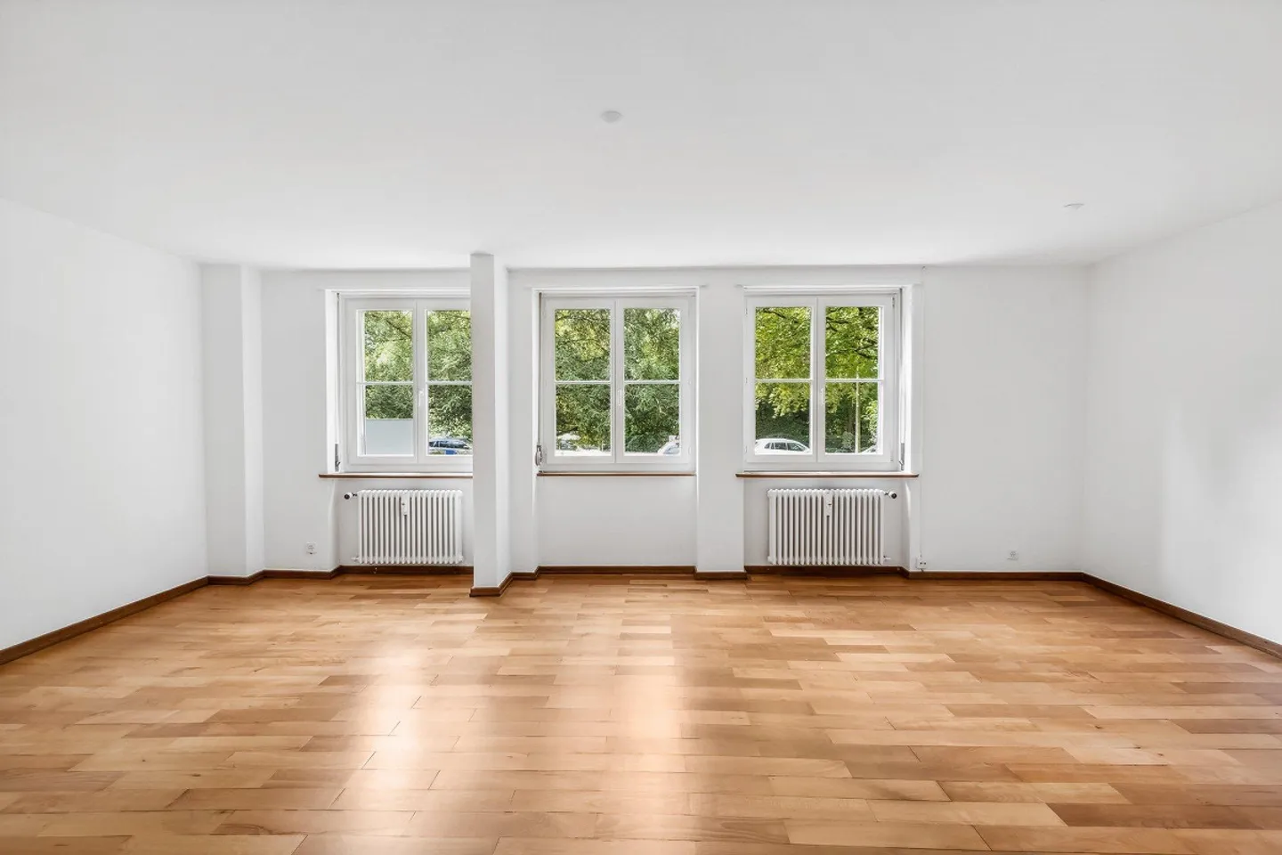 Bright and spacious apartment in Riehen - Photo 4 of 12