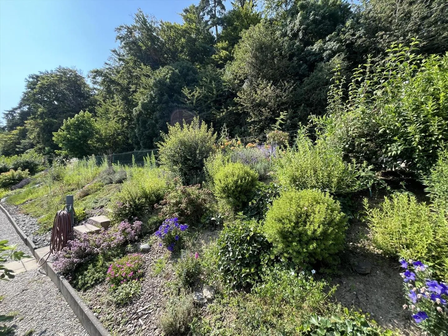 In einem prächtigen Grünbereich, mit privatem Garten - Foto 5 von 13