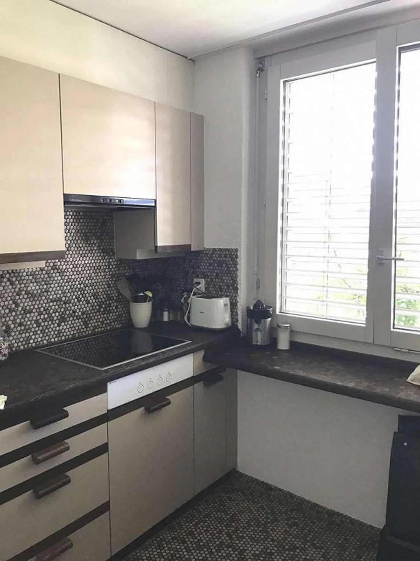 Wohnen im Grünen in Zürich-Witikon befristet bis 31.03.28 - Foto 5 von 9