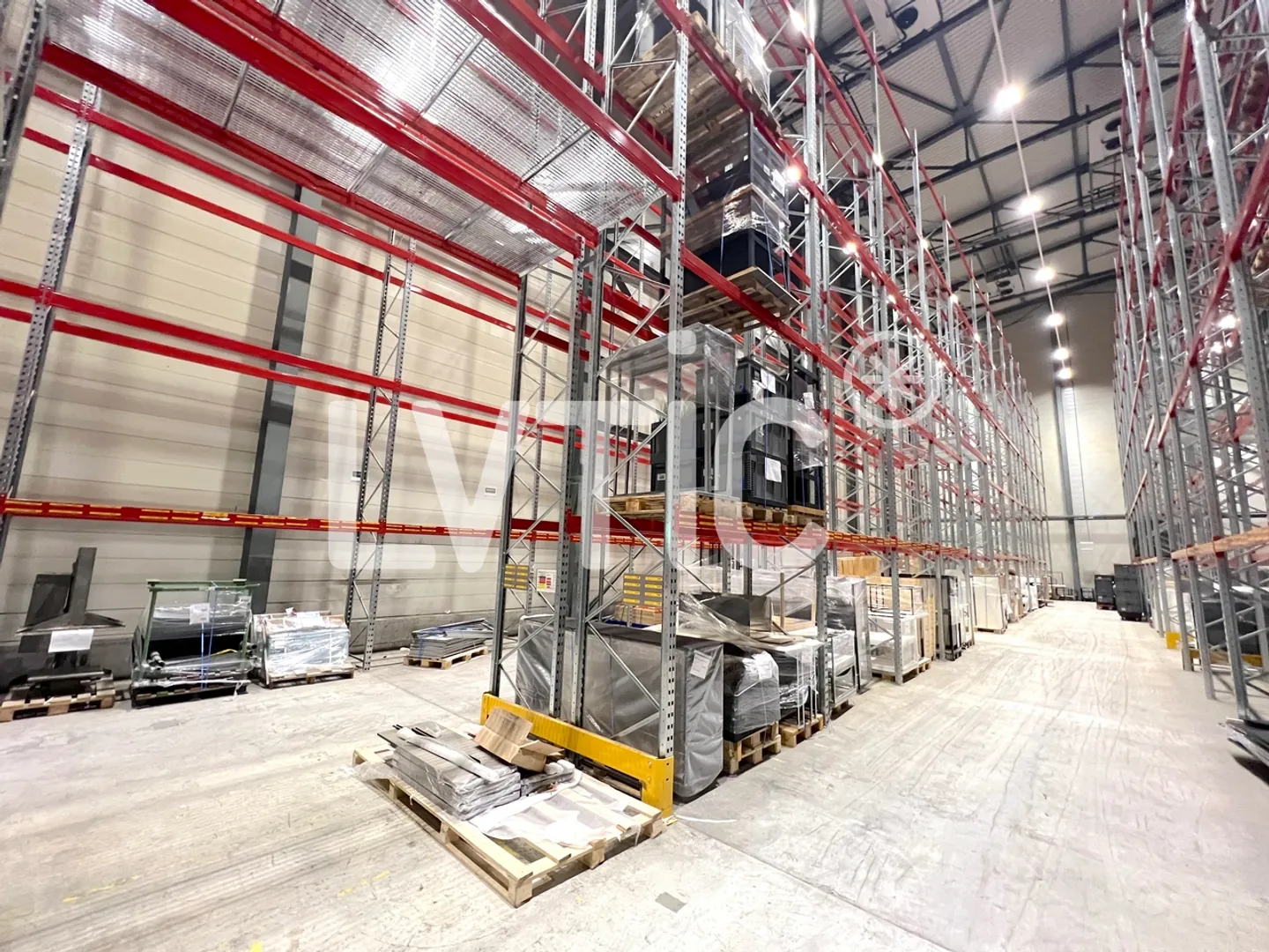 Deposito di 2200 m2 divisibili da 1500 m2 in affitto a Meyrin - Satigny - Foto 4 di 11