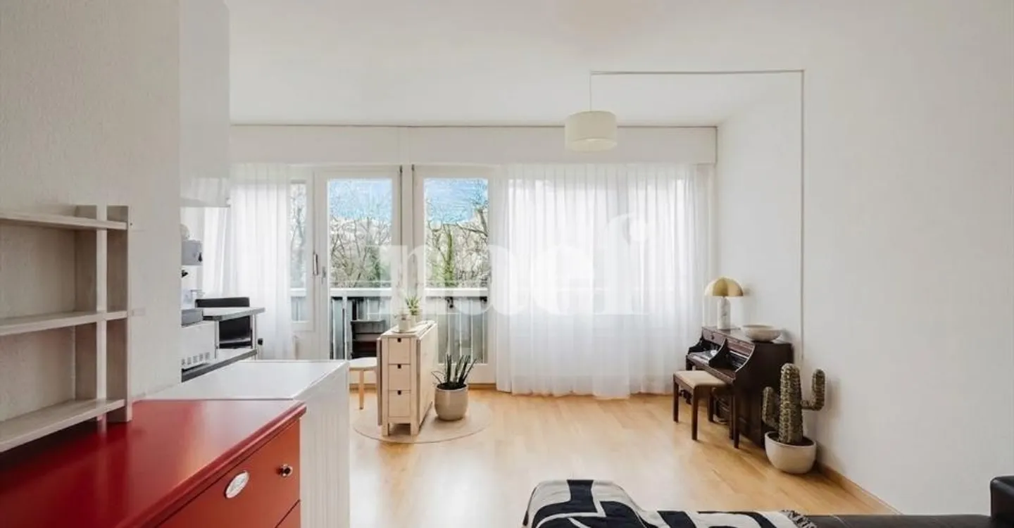 Charming Apartment in Geneva - Photo 1 of 9
