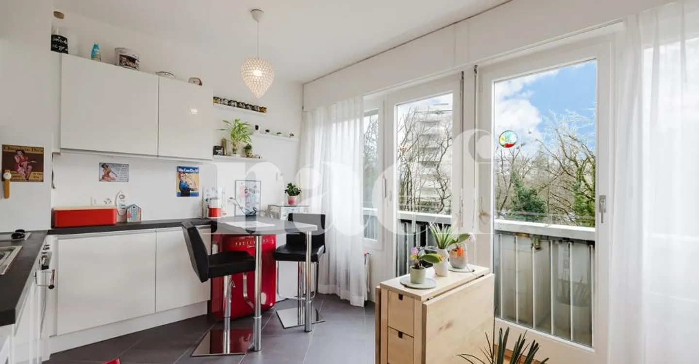Charming Apartment in Geneva - Photo 5 of 9