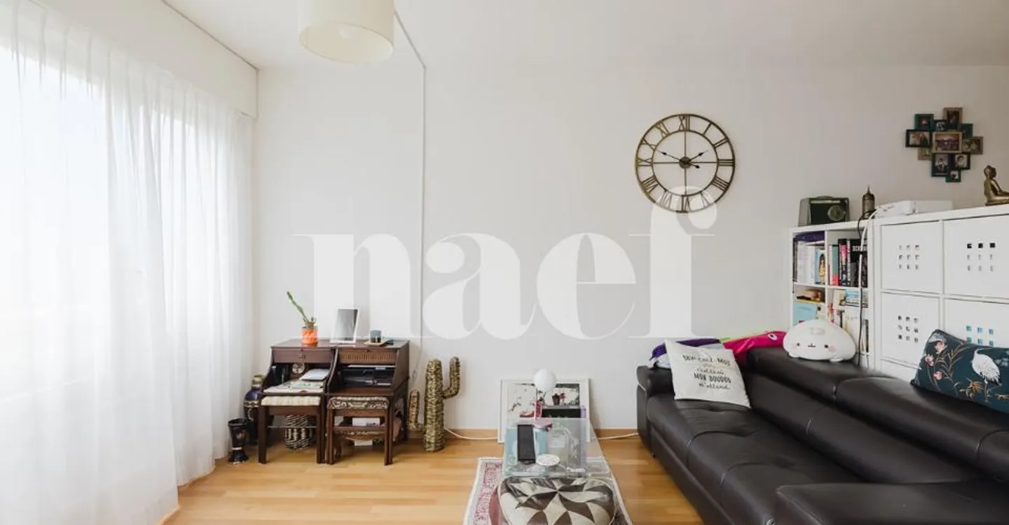 Charming Apartment in Geneva - Photo 6 of 9