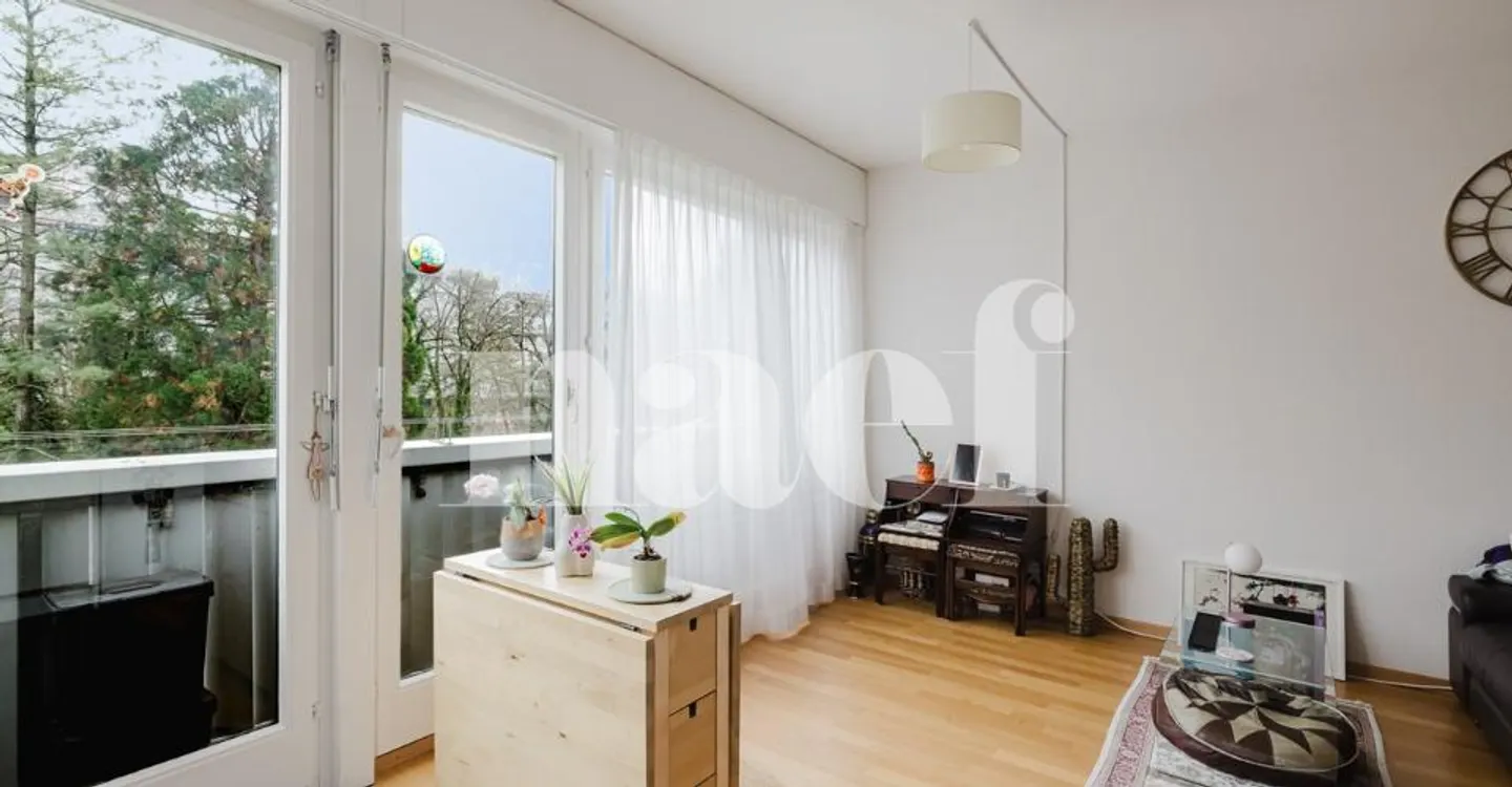 Charming Apartment in Geneva - Photo 7 of 9
