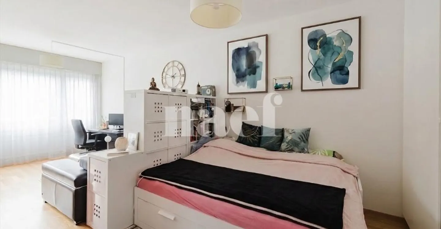 Charming Apartment in Geneva - Photo 8 of 9