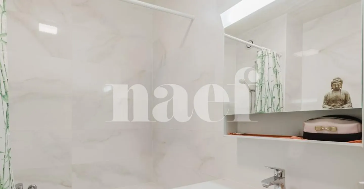 Charming Apartment in Geneva - Photo 9 of 9