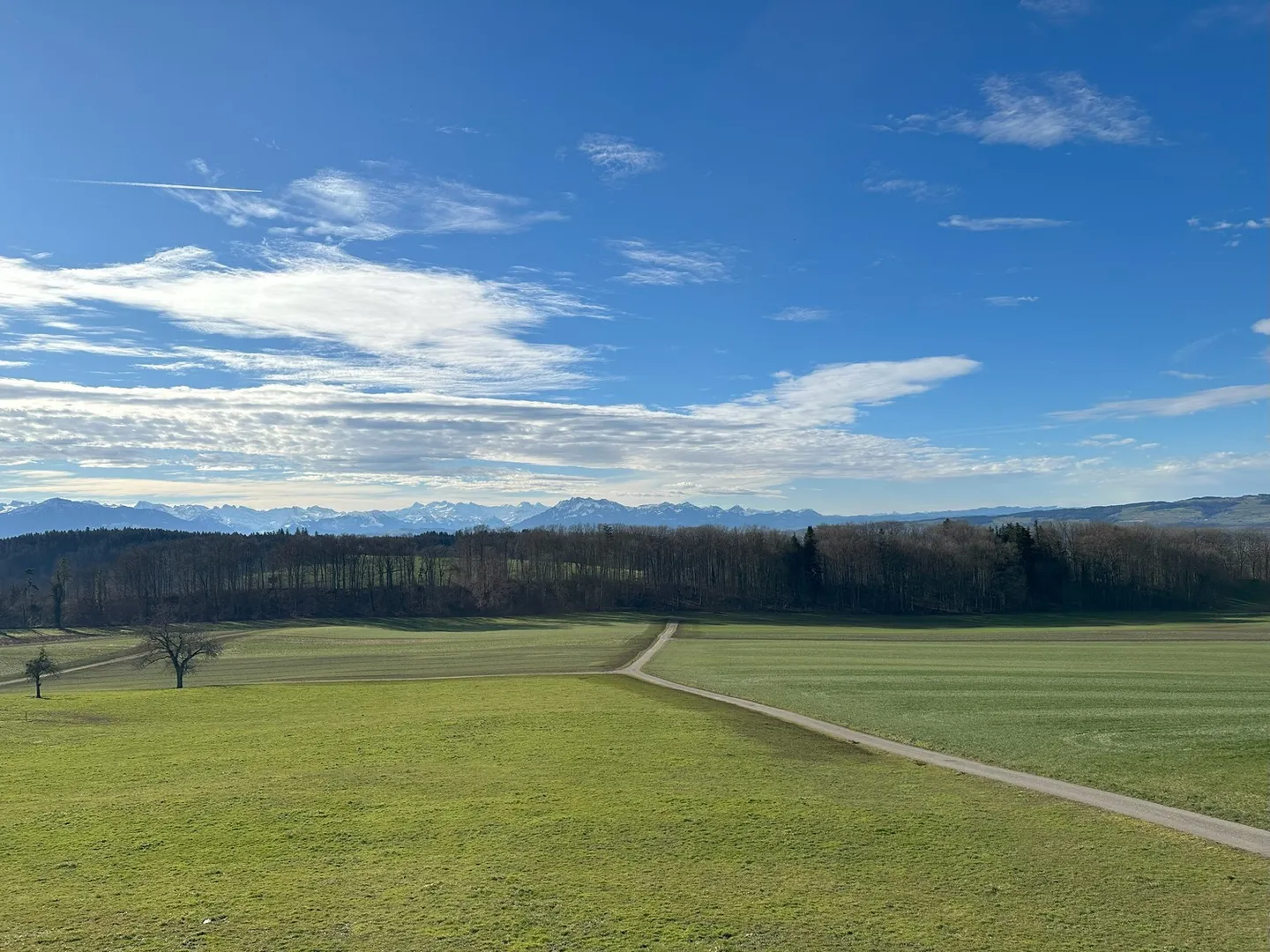 First rental of 9 new apartments with great views - Photo 8 of 8