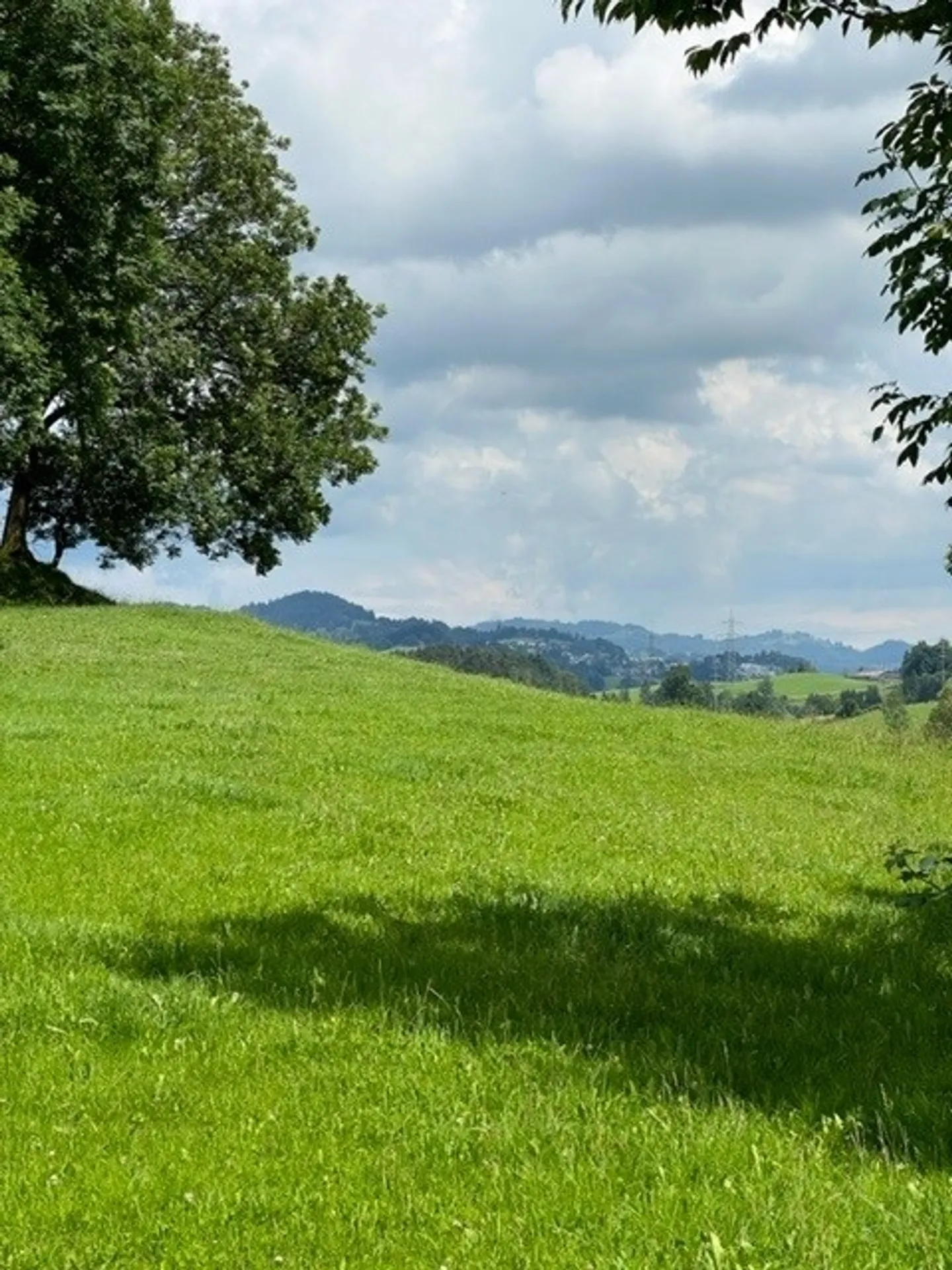 4.5 Attico Maisonette Nuovo Appartamento con Vista nel Quartiere EFH - Foto 5 di 7