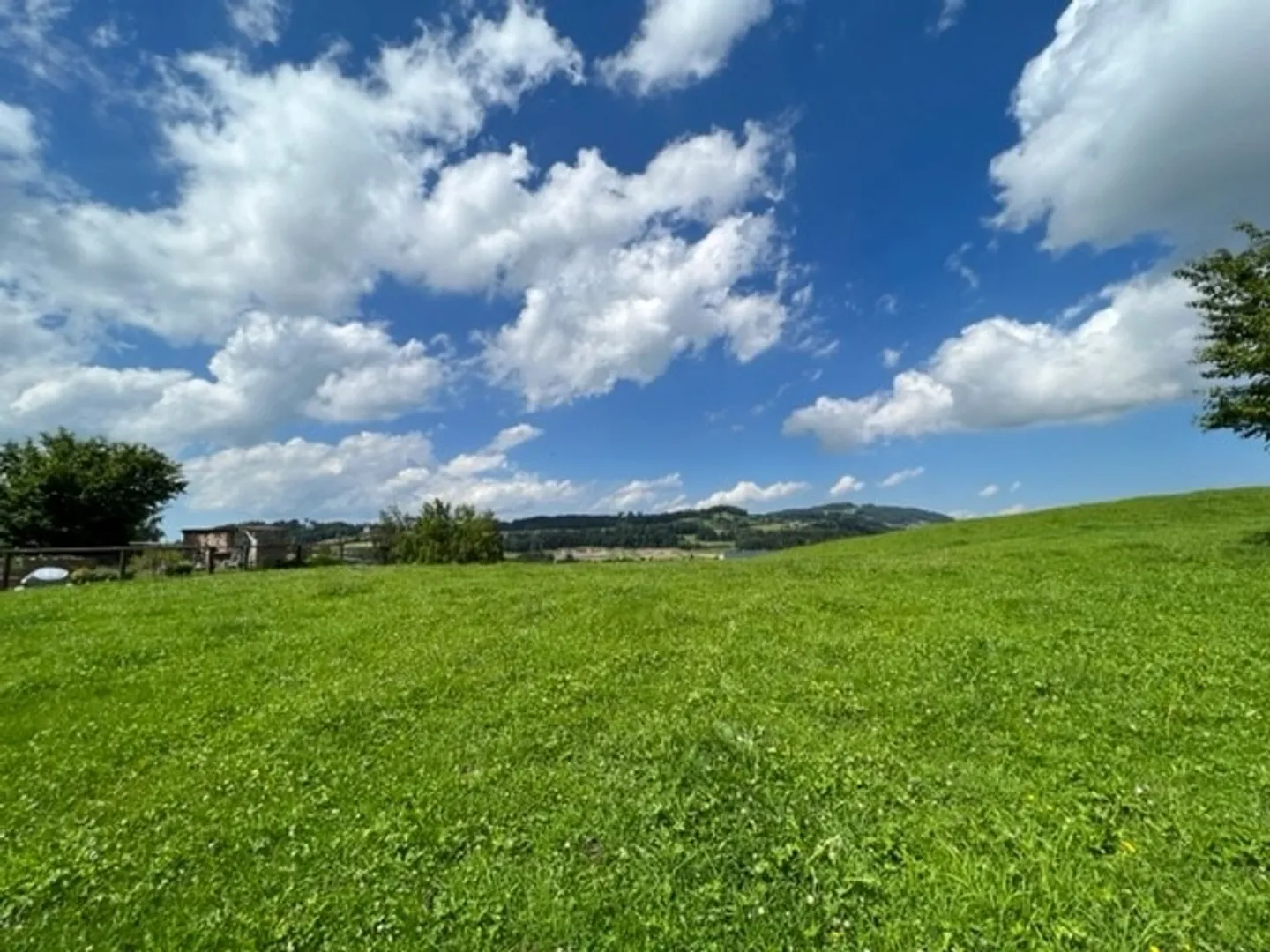 4.5 Attico Maisonette Nuovo Appartamento con Vista nel Quartiere EFH - Foto 6 di 7