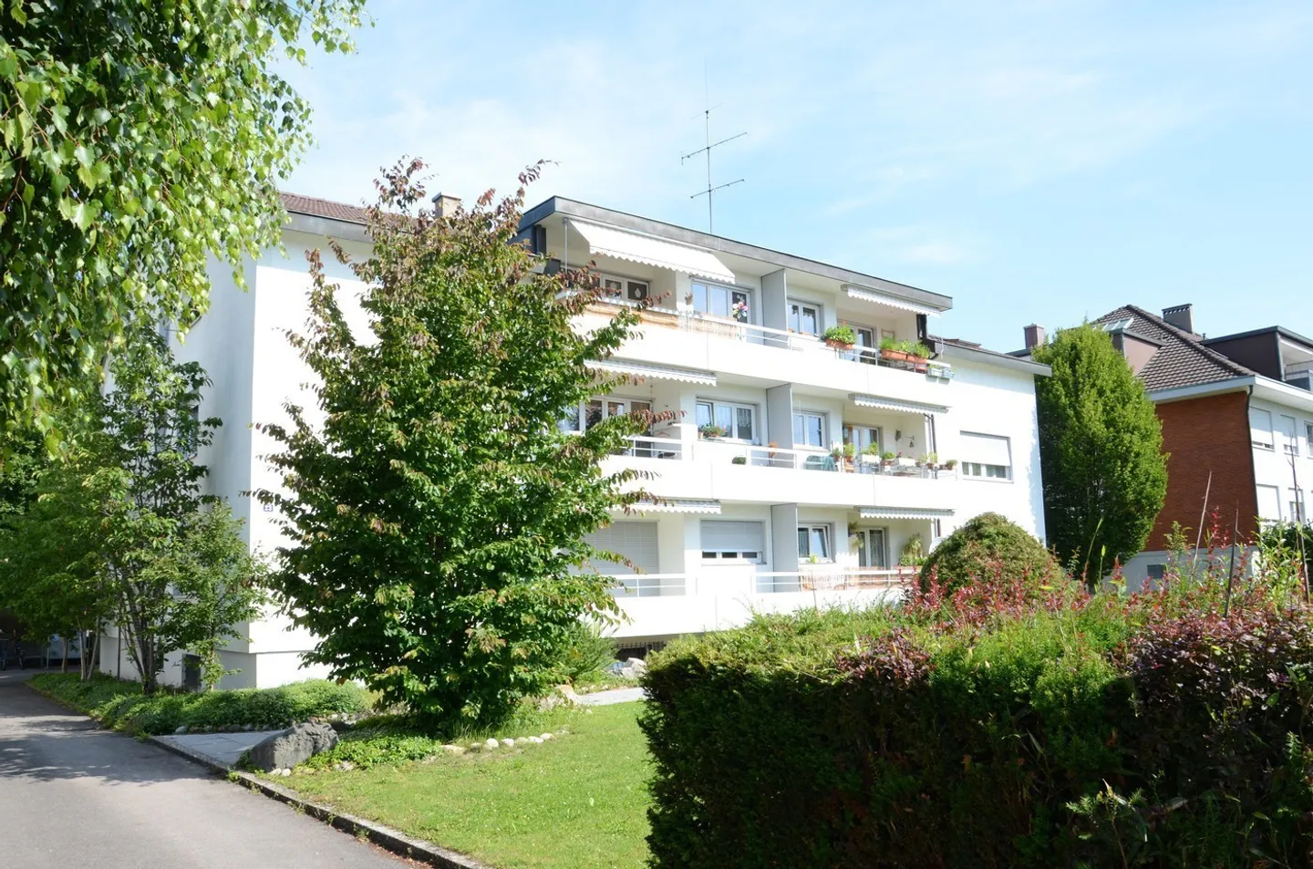 La città è ai tuoi piedi - Il tuo nuovo appartamento con tanto verde - Foto 1 di 8